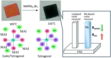 Graphical abstract: Improved charge transport of Nb-doped TiO2 nanorods in methylammonium lead iodide bromide perovskite solar cells