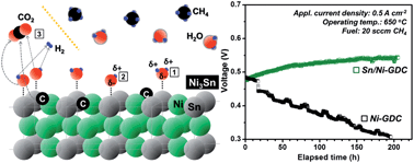 Graphical abstract: Hydrocarbon-fueled solid oxide fuel cells with surface-modified, hydroxylated Sn/Ni–Ce0.8Gd0.2O1.9 heterogeneous catalyst anode