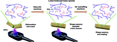 Graphical abstract: Ultrasound healable shape memory dynamic polymers