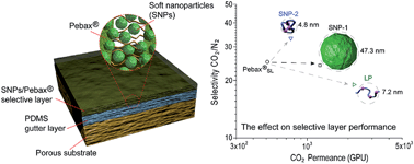 Graphical abstract: The effect of soft nanoparticles morphologies on thin film composite membrane performance