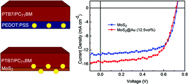 Graphical abstract: Au nanoparticles on ultrathin MoS2 sheets for plasmonic organic solar cells