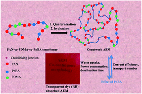 Graphical abstract: Effect of phase separation and adsorbed water on power consumption and current efficiency of terpolymer conetwork-based anion exchange membrane