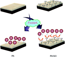 Graphical abstract: Graphene oxide modified polyamide nanofiltration membrane with improved flux and antifouling properties