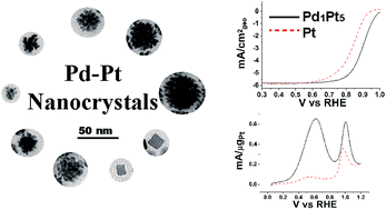 Graphical abstract: A direct one-step synthetic route to Pd–Pt nanostructures with controllable shape, size, and composition for electrocatalytic applications