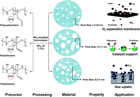 Graphical abstract: NH3-assisted synthesis of microporous silicon oxycarbonitride ceramics from preceramic polymers: a combined N2 and CO2 adsorption and small angle X-ray scattering study