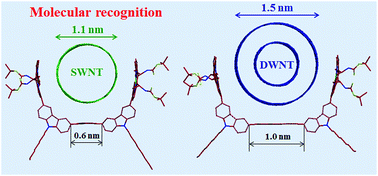 Graphical abstract: Structural discrimination of double-walled carbon nanotubes by chiral diporphyrin nanocalipers