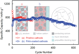 Graphical abstract: Poly(acrylic acid) gel as a polysulphide blocking layer for high-performance lithium/sulphur battery