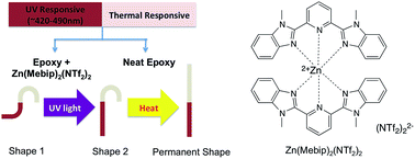Graphical abstract: A facile approach to fabricate a UV/heat dual-responsive triple shape memory polymer