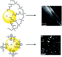 Graphical abstract: Amine-functionalized siloxane oligomer facilitated synthesis of subnanometer colloidal Au particles