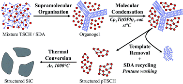 Graphical abstract: Elaboration of porous silicon carbide by soft templating molecular precursors with semi-fluorinated alkanes