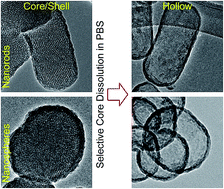 Graphical abstract: A porosity difference based selective dissolution strategy to prepare shape-tailored hollow mesoporous silica nanoparticles