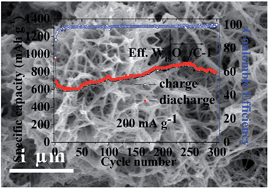 Graphical abstract: One-step in situ synthesis of ultrathin tungsten oxide@carbon nanowire webs as an anode material for high performance