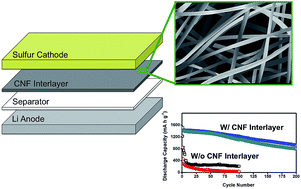 Graphical abstract: A free-standing carbon nanofiber interlayer for high-performance lithium–sulfur batteries