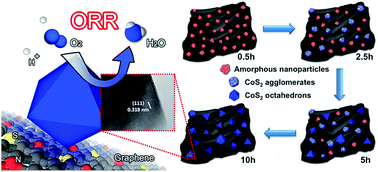 Graphical abstract: Shape-controlled octahedral cobalt disulfide nanoparticles supported on nitrogen and sulfur-doped graphene/carbon nanotube composites for oxygen reduction in acidic electrolyte