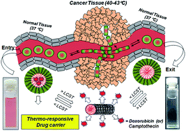 Graphical abstract: Thermo-responsive and shape transformable amphiphilic scaffolds for loading and delivering anticancer drugs