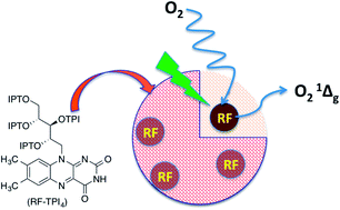 Graphical abstract: Silica nanoreactors from silylated riboflavin for efficient singlet oxygen delivery