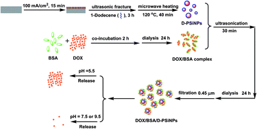 Graphical abstract: A novel strategy to fabricate doxorubicin/bovine serum albumin/porous silicon nanocomposites with pH-triggered drug delivery for cancer therapy in vitro