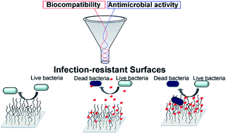 Graphical abstract: Polymer brush-based approaches for the development of infection-resistant surfaces