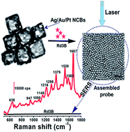 Graphical abstract: Novel Ag/Au/Pt trimetallic nanocages used with surface-enhanced Raman scattering for trace fluorescent dye detection