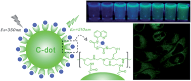 Graphical abstract: Quinoline derivative-functionalized carbon dots as a fluorescent nanosensor for sensing and intracellular imaging of Zn2+