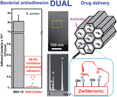 Graphical abstract: A novel zwitterionic bioceramic with dual antibacterial capability