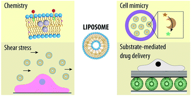 Graphical abstract: Recent progress of liposomes in nanomedicine