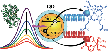 Graphical abstract: Quantum dots as platforms for charge transfer-based biosensing: challenges and opportunities