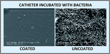 Graphical abstract: Bacteria repelling poly(methylmethacrylate-co-dimethylacrylamide) coatings for biomedical devices