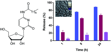 Graphical abstract: Gelation properties of self-assembling N-acyl modified cytidine derivatives