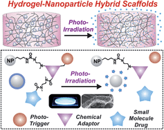 Graphical abstract: Photo-triggerable hydrogel–nanoparticle hybrid scaffolds for remotely controlled drug delivery