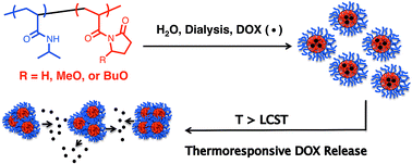Graphical abstract: Thermoresponsive block copolymer micelles with tunable pyrrolidone-based polymer cores: structure/property correlations and application as drug carriers