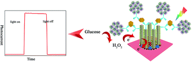 Graphical abstract: Photoelectrochemical detection of tumor markers based on a CdS quantum dot/ZnO nanorod/Au@Pt-paper electrode 3D origami immunodevice