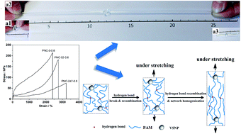Graphical abstract: Highly stretchable and super tough nanocomposite physical hydrogels facilitated by the coupling of intermolecular hydrogen bonds and analogous chemical crosslinking of nanoparticles
