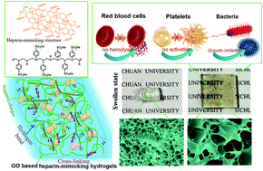 Graphical abstract: Graphene oxide based heparin-mimicking and hemocompatible polymeric hydrogels for versatile biomedical applications