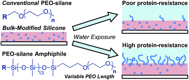 Graphical abstract: Enhancing the protein resistance of silicone via surface-restructuring PEO–silane amphiphiles with variable PEO length