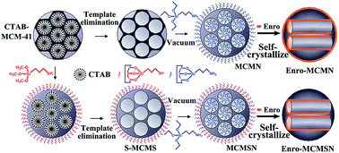 Graphical abstract: Outside-in stepwise functionalization of mesoporous silica nanocarriers for matrix type sustained release of fluoroquinolone drugs