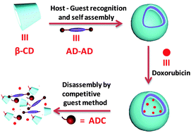 Graphical abstract: Unusual self-assembly of a hydrophilic β-cyclodextrin inclusion complex into vesicles capable of drug encapsulation and release