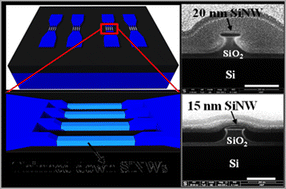 Graphical abstract: Fabrication of locally thinned down silicon nanowires