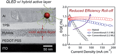 Graphical abstract: Reduced efficiency roll-off in light-emitting diodes enabled by quantum dot–conducting polymer nanohybrids