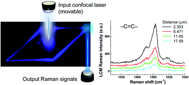 Graphical abstract: Dual-mode waveguiding of Raman and luminescence signals in a crystalline organic microplate