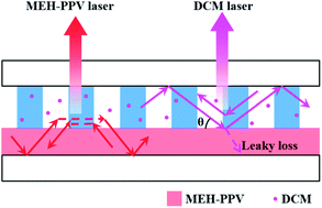 Graphical abstract: A dual-wavelength surface-emitting distributed feedback laser from a holographic grating with an organic semiconducting gain and a doped dye