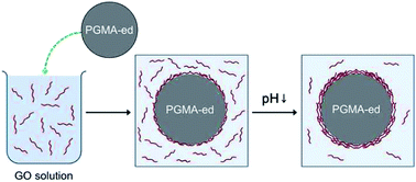 Graphical abstract: An aggregation-mediated assembly of graphene oxide on amine-functionalized poly(glycidyl methacrylate) microspheres for core–shell structures with controlled electrical conductivity