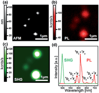 Graphical abstract: Dual light-emitting nanoparticles: second harmonic generation combined with rare-earth photoluminescence
