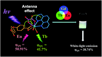 Graphical abstract: A high-efficiency white light-emitting lanthanide–organic framework assembled from 4,4′-oxybis(benzoic acid), 1,10-phenanthroline and oxalate