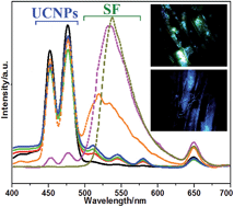 Graphical abstract: Multicolor upconversion NaLuF4 fluorescent nanoprobe for plant cell imaging and detection of sodium fluorescein