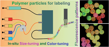 Graphical abstract: Simultaneous size and color tuning of polymer microparticles in a single-step microfluidic synthesis: particles for fluorescence labeling