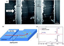 Graphical abstract: Trench structure assisted alignment in ultralong and dense carbon nanotube arrays