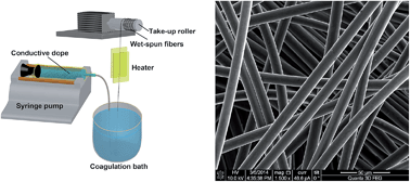 Graphical abstract: Semi-metallic, strong and stretchable wet-spun conjugated polymer microfibers