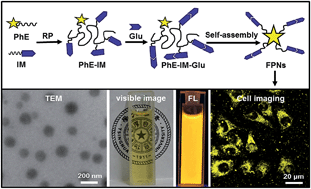 Graphical abstract: A novel fluorescent amphiphilic glycopolymer based on a facile combination of isocyanate and glucosamine