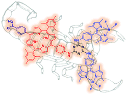 Graphical abstract: “Scorpion”-shaped mono(carboxy)porphyrin-(BODIPY)2, a novel triazine bridged triad: synthesis, characterization and dye sensitized solar cell (DSSC) applications